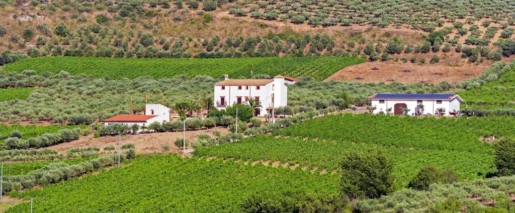 Tenute Piazza Countryhouse Ribera Exterior foto